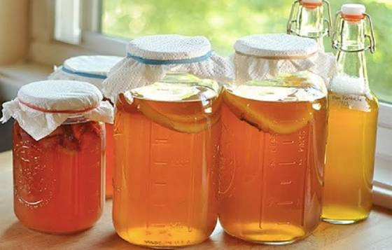 تصویر 1 از شربت کامبوجا با طعم ملایم و خاصیت پروبیوتیکی